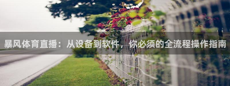 暴风体育直播：从设备到软件，你必须的全流程操作指南