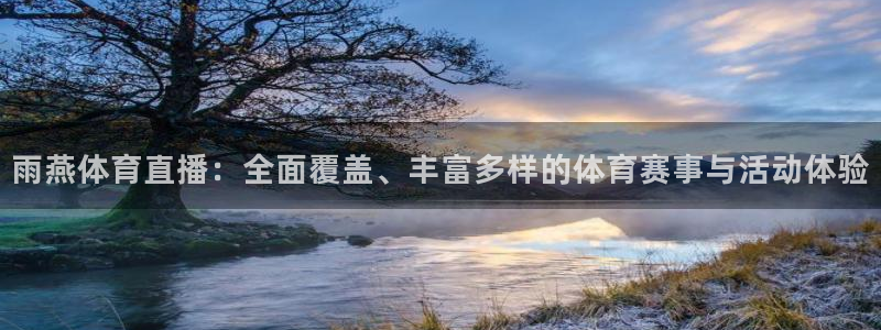 雨燕体育直播：全面覆盖、丰富多样的体育赛事与活动体验