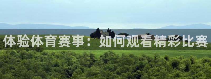 体验体育赛事：如何观看精彩比赛