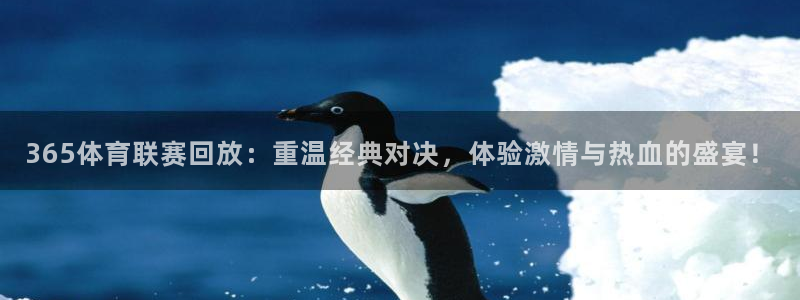 365体育联赛回放：重温经典对决，体验激情与热血的盛宴！