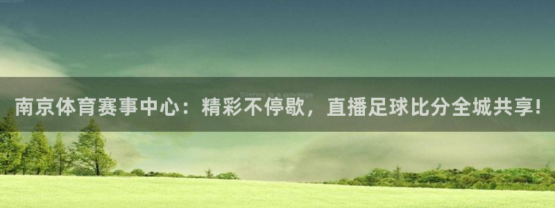 南京体育赛事中心：精彩不停歇，直播足球比分全城共享!