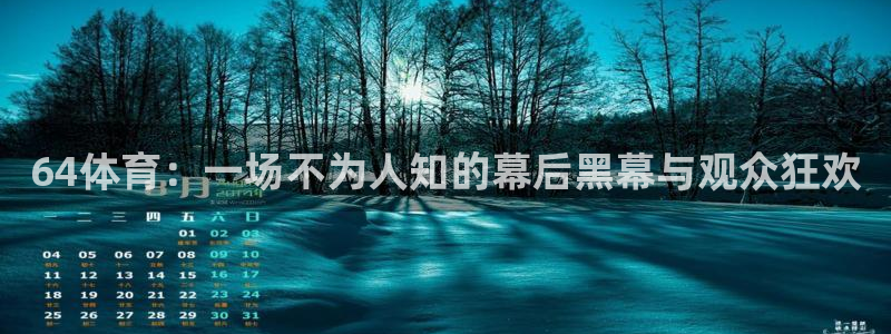 64体育：一场不为人知的幕后黑幕与观众狂欢