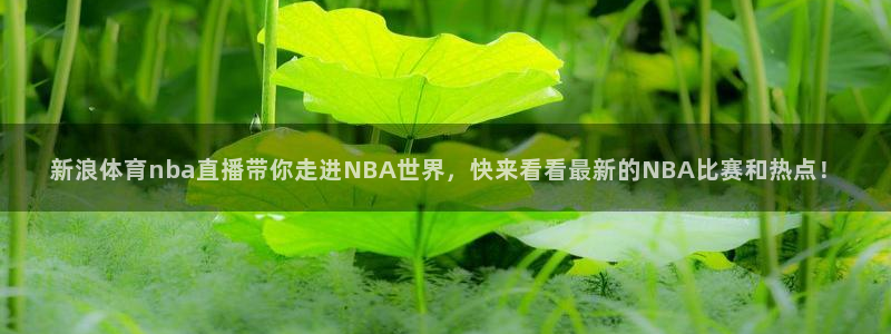新浪体育nba直播带你走进NBA世界，快来看看最新的NBA比赛和热点！