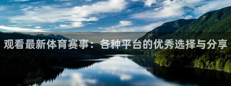 观看最新体育赛事：各种平台的优秀选择与分享