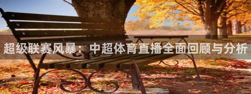 超级联赛风暴：中超体育直播全面回顾与分析