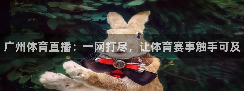 广州体育直播：一网打尽，让体育赛事触手可及