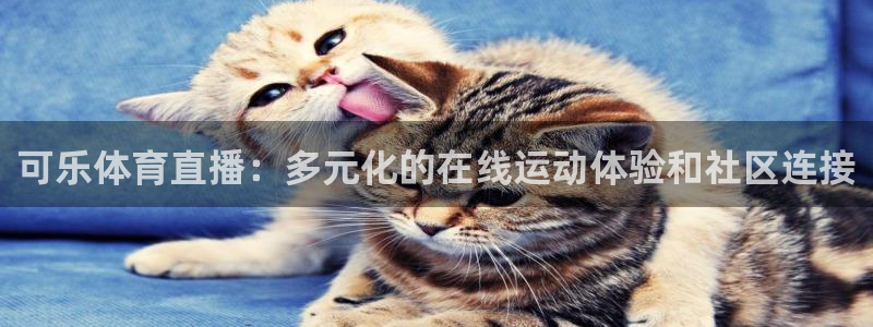 可乐体育直播：多元化的在线运动体验和社区连接